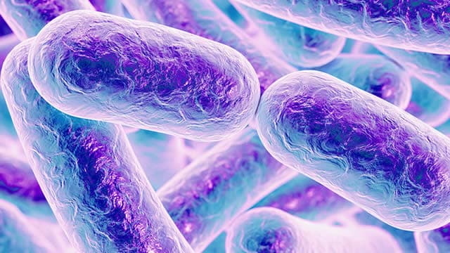 Neurocrine Biosciences (NBIX) Earnings Expected to Grow: What to Know Ahead of Next Week's Release