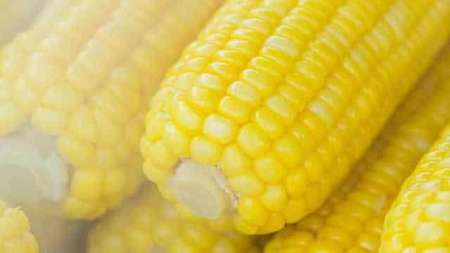 Corn Prices Creep Higher, Worth Watching This Month!