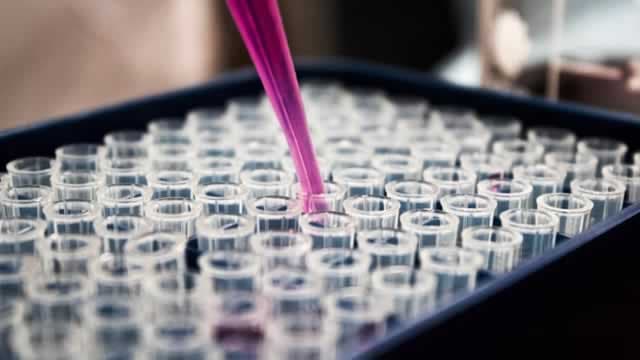 Nasus Pharma IPO Shows Promise But Risks Remain