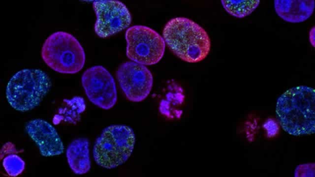 Biotech is back. Here's why these rallying stocks belong in your portfolio now.