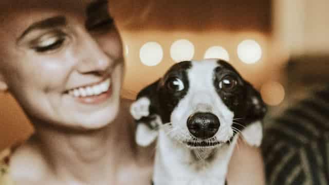 Petco Stock Drops After Q1 Revenues Miss: Details