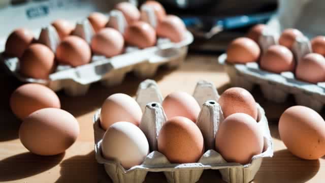 Cal-Maine Foods' (CALM) Chief Strategy Officer Bets on Rapid Recovery With a 2,800 Share Purchase