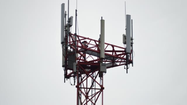 Are Consumer Discretionary Stocks Lagging Roku (ROKU) This Year?