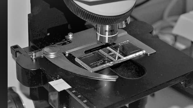 SPX Technologies (SPXC) Reports Q3 Earnings: What Key Metrics Have to Say