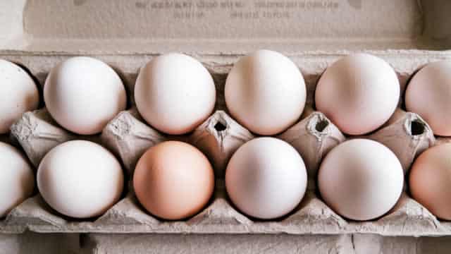 Here is What to Know Beyond Why Vital Farms, Inc. (VITL) is a Trending Stock