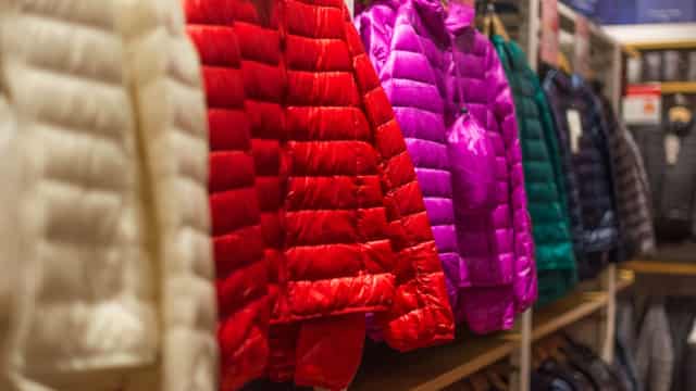 Coach Parent Tapestry Lifts Full-Year Outlook, Says Tariffs 'Immaterial'