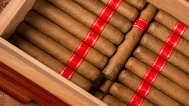Turning Point Brands (TPB) Soars 5.1%: Is Further Upside Left in the Stock?