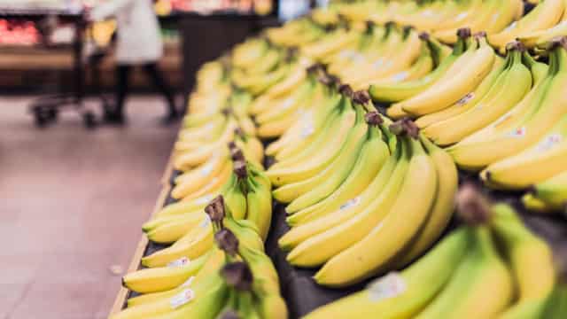 3 Absurdly Cheap Dividend Stocks to Buy Right Now