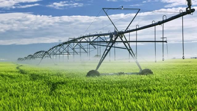 Scotts Miracle-Gro (SMG) Surpasses Q3 Earnings Estimates