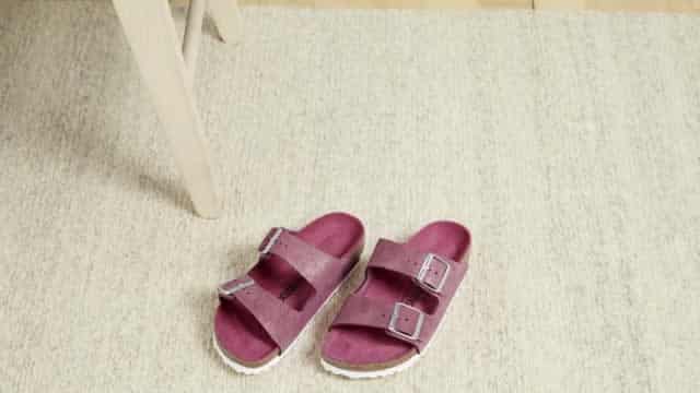 Birkenstock: Demand Momentum Showed No Signs Of Slowing Down