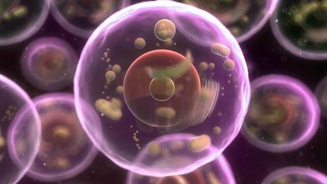 Armata Pharmaceuticals (ARMP) Surges 103.2%: Is This an Indication of Further Gains?