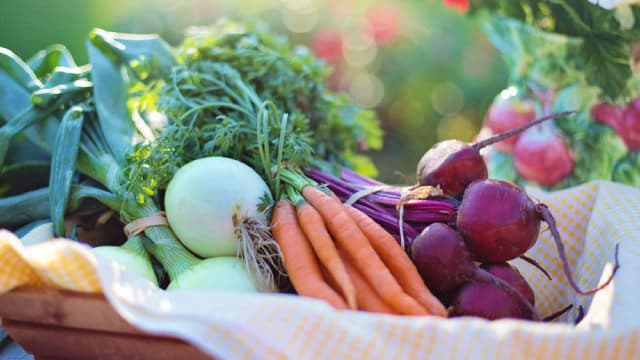 Mission Produce vs. Dole: Who's Winning Global Fresh Produce Battle?