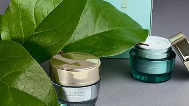 The Pros And Cons Of Buying Estee Lauder Now