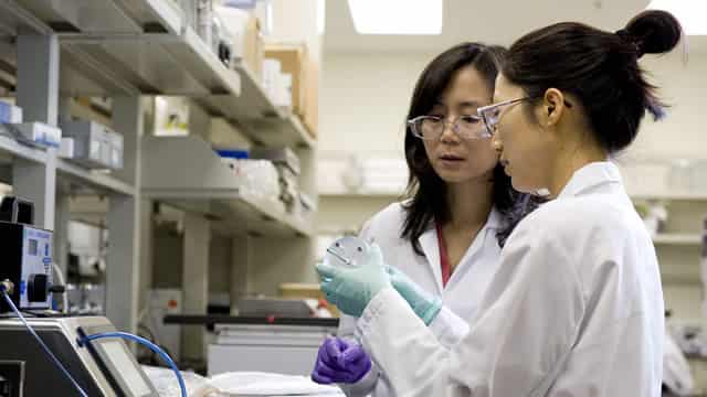 The Next Look At Amgen's Obesity Drug Is Coming. Here's What Investors Are Watching.