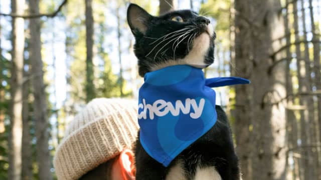 Is Chewy's Growing Vet Care Network Its Most Powerful Growth Lever?