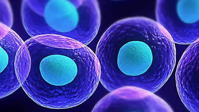 Checkpoint Therapeutics: Updating My Strategy After Unloxcyt's Approval