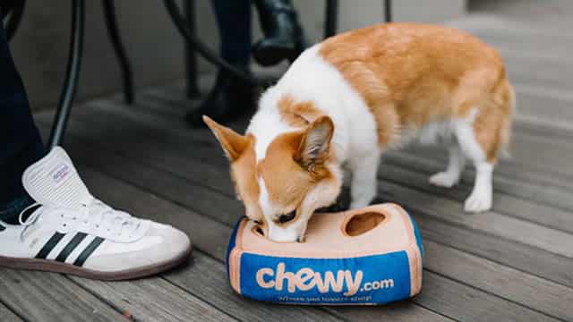 Chewy: Fetching Strong Growth In 2025