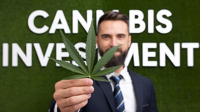 3 Top Canadian Marijuana Stock Choices For A Possible Breakout In 2025