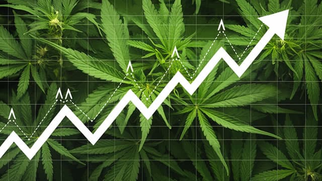 3 Top Marijuana Stocks To Watch In Today's Stock Market
