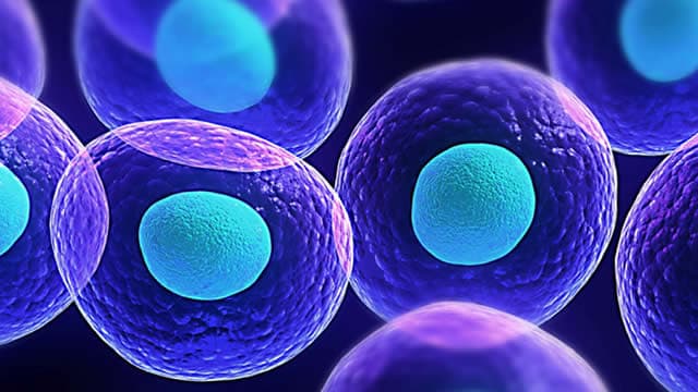 This Top Medical Stock is a #1 (Strong Buy): Why It Should Be on Your Radar