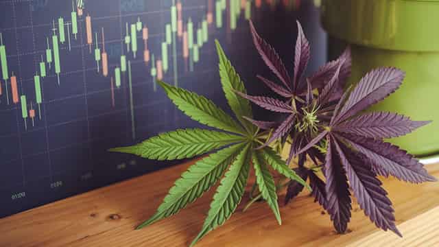 Why Canopy Growth Corporation (CGC) Outpaced the Stock Market Today