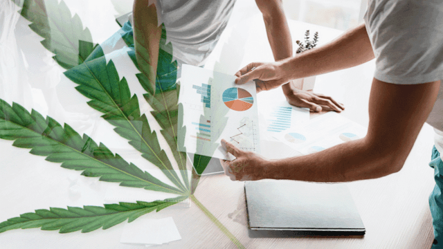 2 Top Marijuana Stocks For Investors To Consider