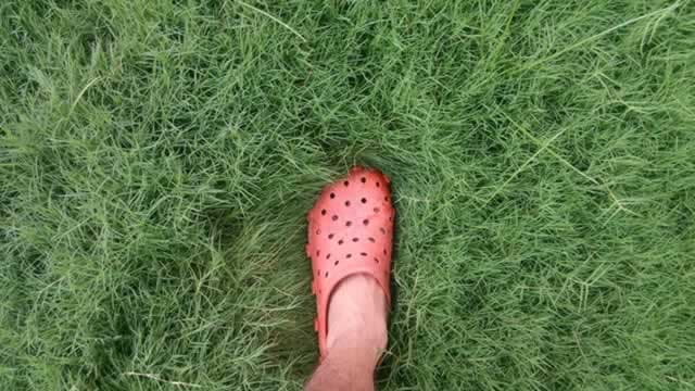 Will Crocs (CROX) Beat Estimates Again in Its Next Earnings Report?