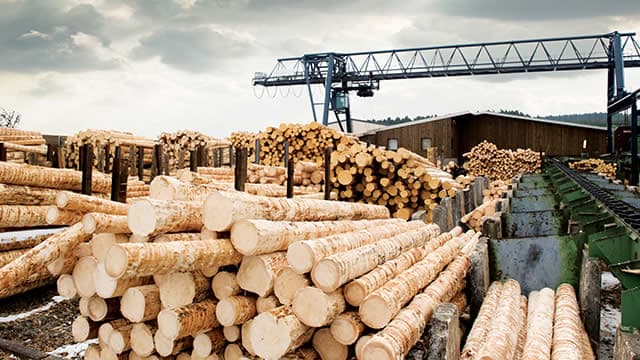 Weyerhaeuser Q3 Earnings & Sales Top Estimates, Both Increase Y/Y
