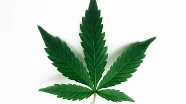 Marijuana ETFs Look to Supreme Court Legalization