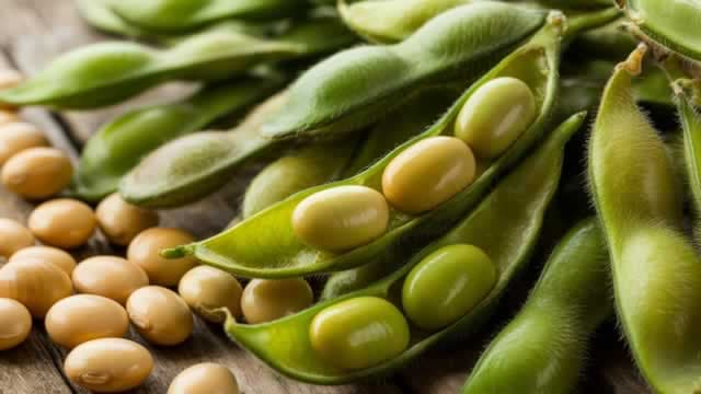 Soybean Farmers Find Relief in U.S. Trade Truce With China