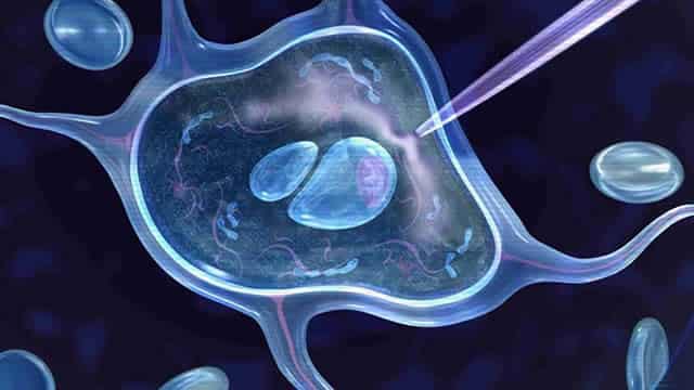 Why Kymera Therapeutics Stock Crushed it This Week