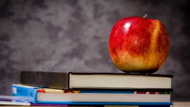 New Oriental Education: Learning The Hard Lessons Of A Tougher Market