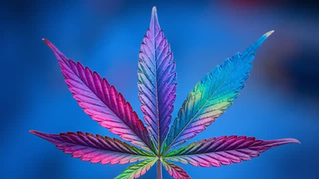 OrganiGram (OGI) Reports Q3 Loss, Beats Revenue Estimates