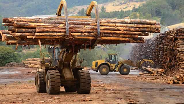 Weyerhaeuser (WY) Meets Q1 Earnings Estimates