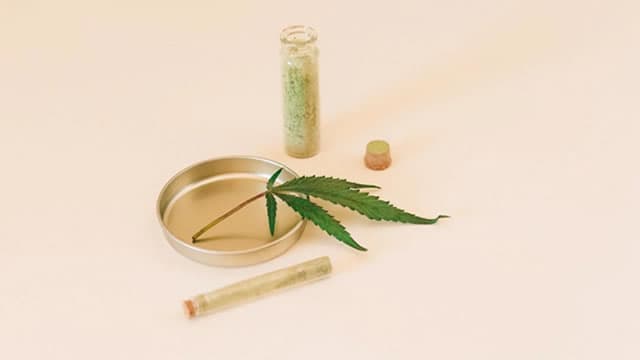 Investors Heavily Search Canopy Growth Corporation (CGC): Here is What You Need to Know