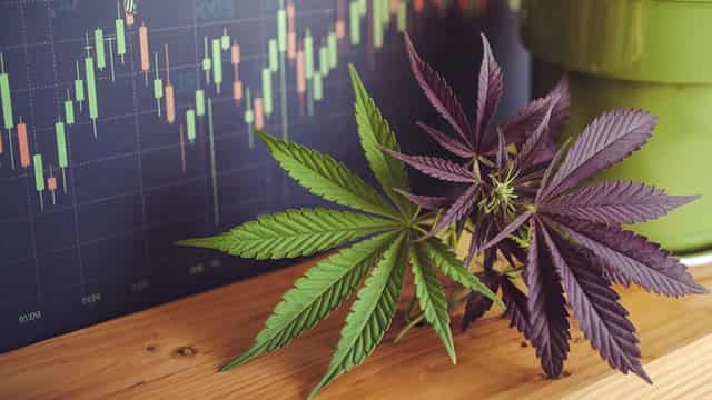 Aurora Cannabis Inc. (ACB) Announces Filing and Mailing of the Management Information