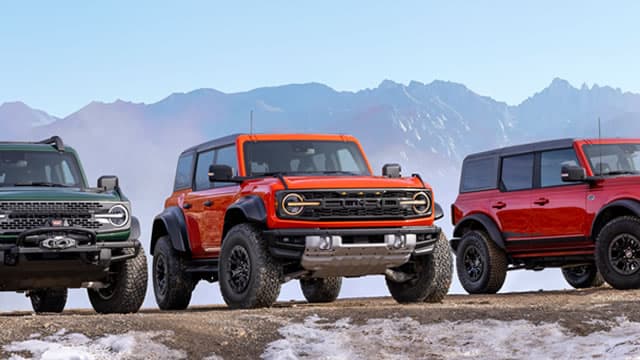 Ford: Supplemental Dividends Unlikely - Headwinds Pose Minimal Risks