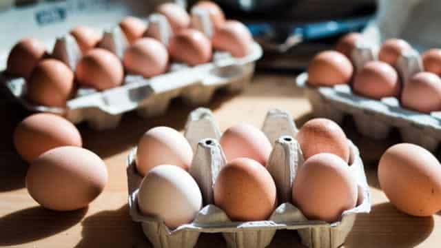 CALM Bets on Value-Added Foods: Will It Deliver Sustainable Growth?
